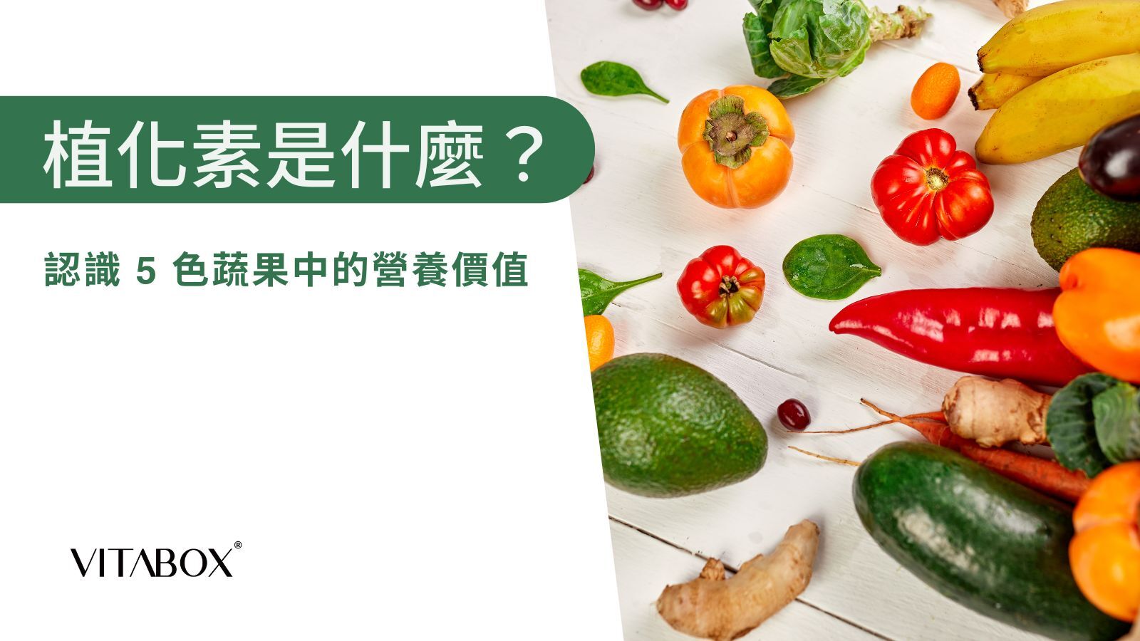 防癌飲食中常聽到的植化素是什麼？