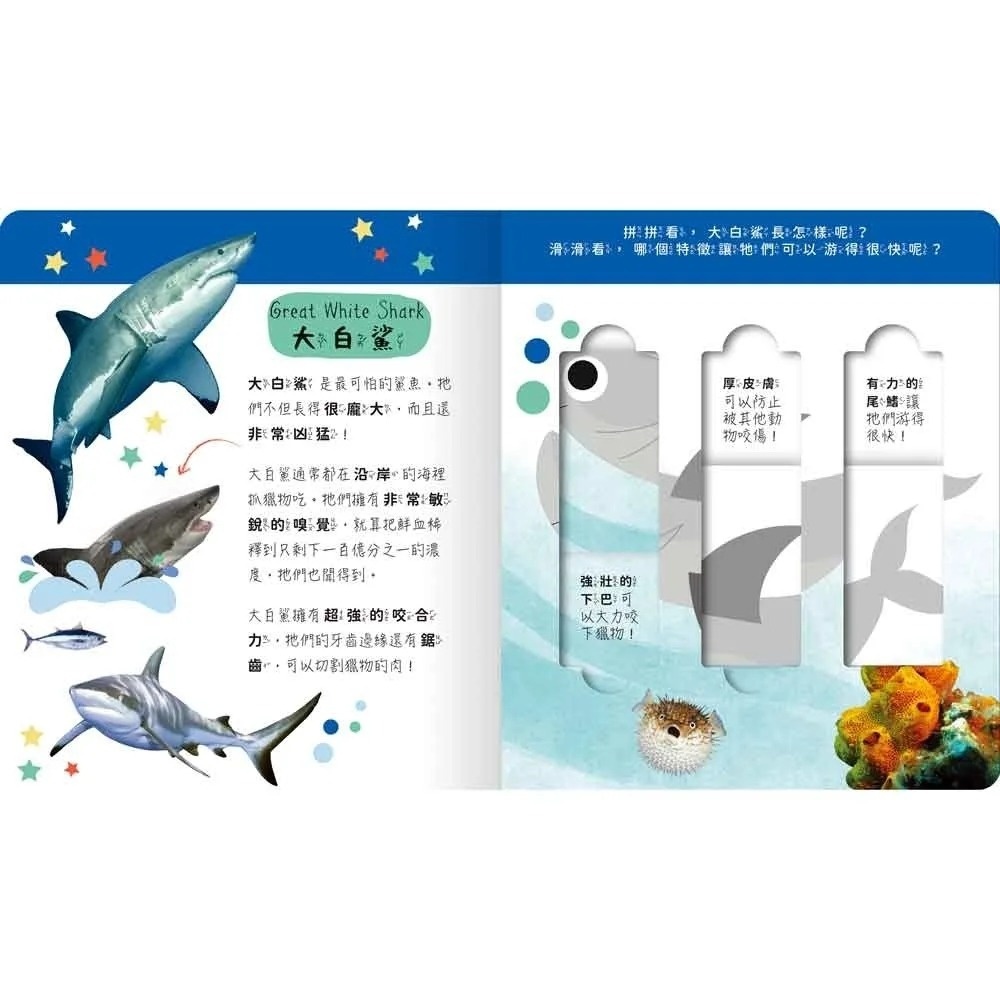 海洋動物園