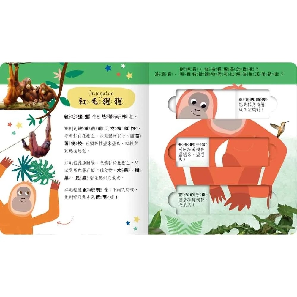 雨林動物園