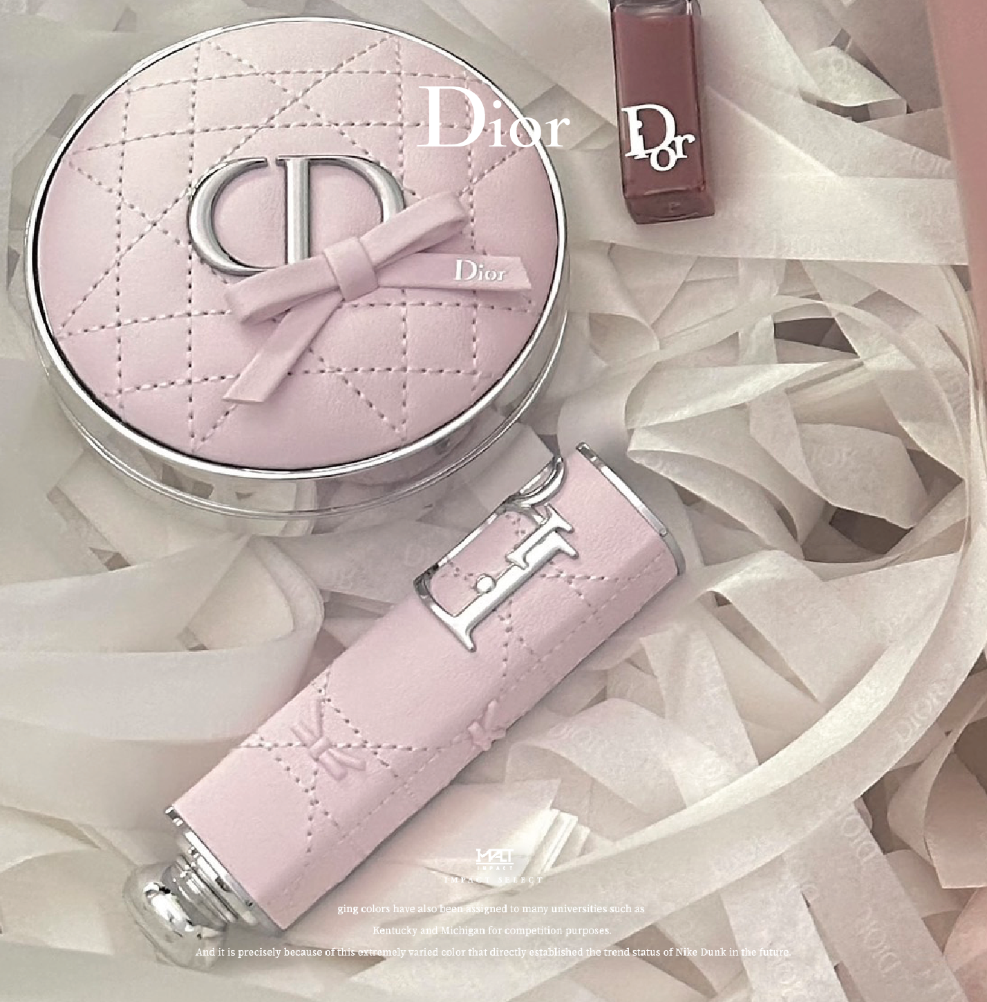 Dior 迪奧 蝴蝶結 花卉系列  限定 氣墊殼 口紅殼