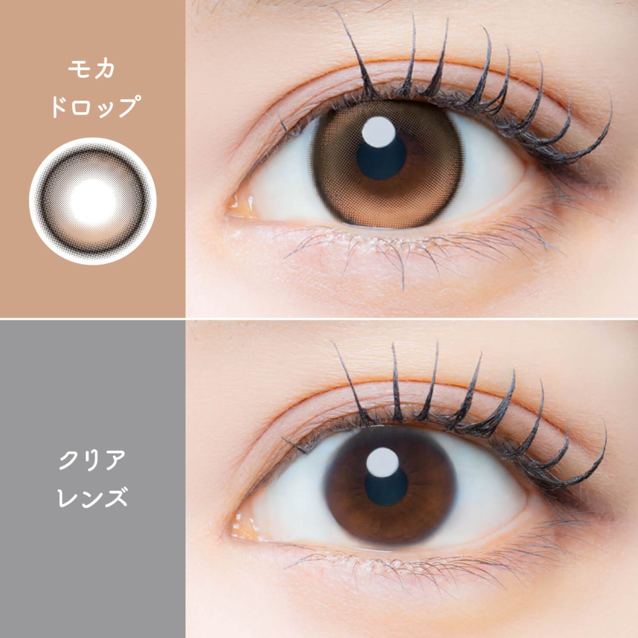 Eye Genic Monthly (Mocha Drop)(1對)