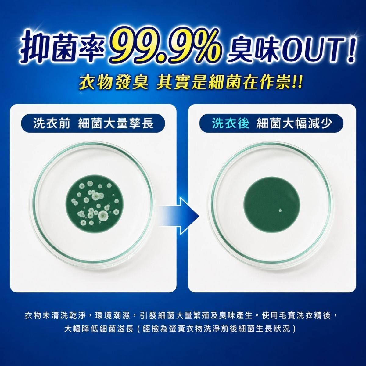 毛寶PM2.5抗菌洗衣精補充包2000g｜制臭極淨 除霉防蟎 天然植萃 洗衣精補充包【輕鬆購五金百貨】