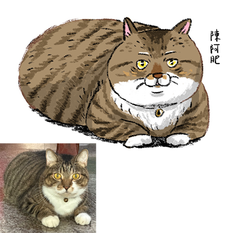 【ehcat貓室友】貓咪似顏繪 (電子檔)