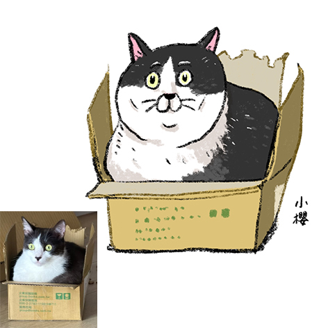 【ehcat貓室友】貓咪似顏繪 (電子檔)