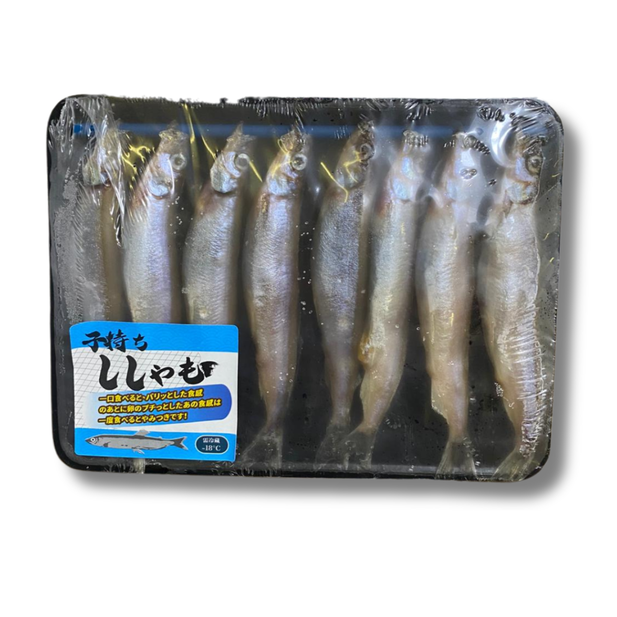 Frozen Capelin (Shishamo) (170g/pack)
