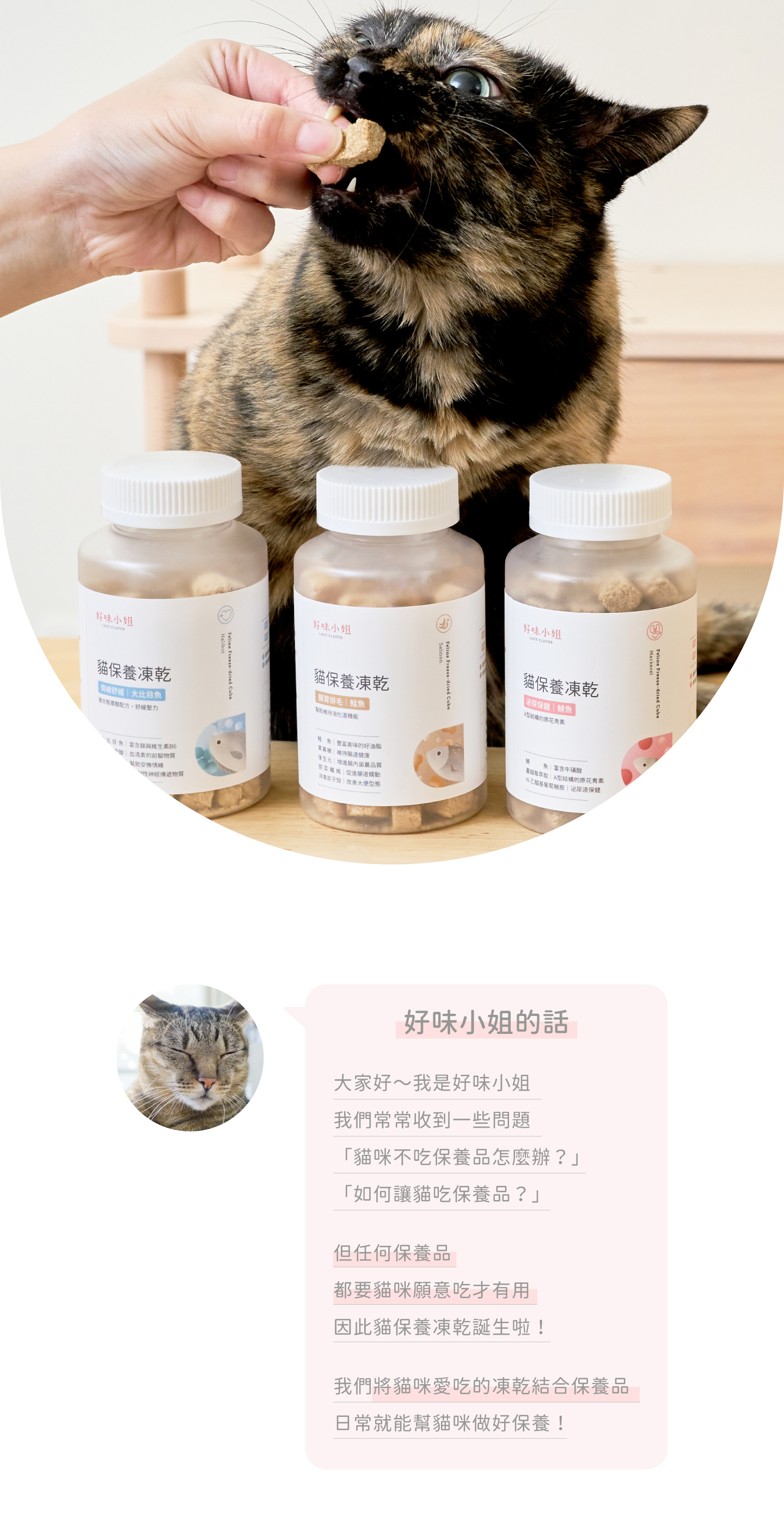 好味小姐 Lady Flavor好味貓保養凍乾產品主視覺，情緒舒緩｜大比目魚、泌尿保健｜鯖魚、腸胃排毛｜鮭魚
