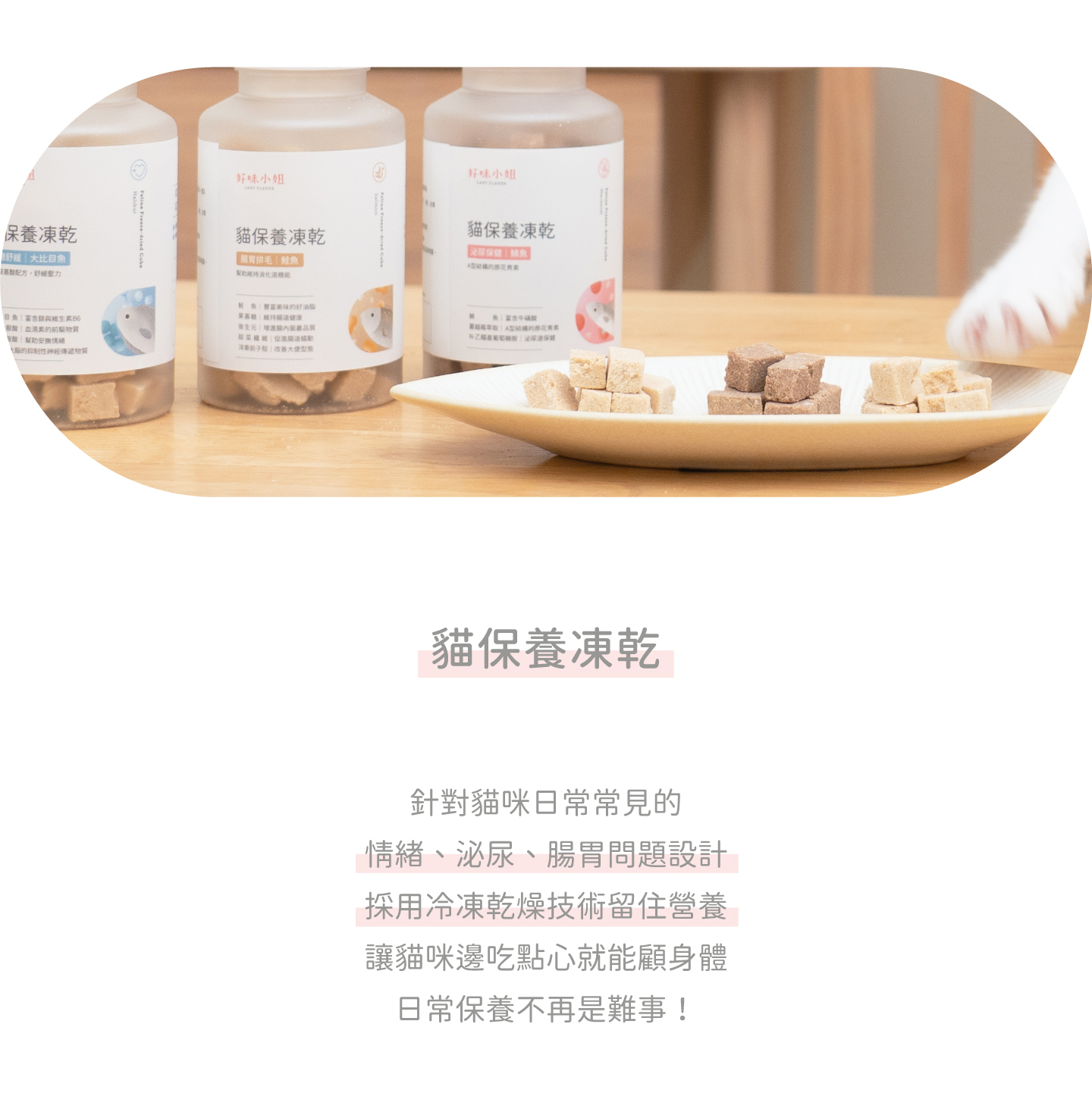 好味貓保養凍乾質地展示，將貓咪愛吃的凍乾結合保養品，針對情緒、泌尿、腸胃問題設計，日常就能幫貓咪做好保養