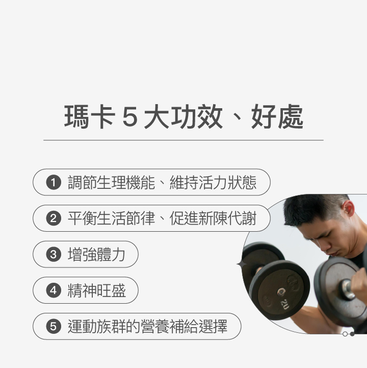瑪卡五大功效與好處:幫助調節生理機能、促進代謝、增強體力、提升精神活力,是運動族群的營養補給首選。