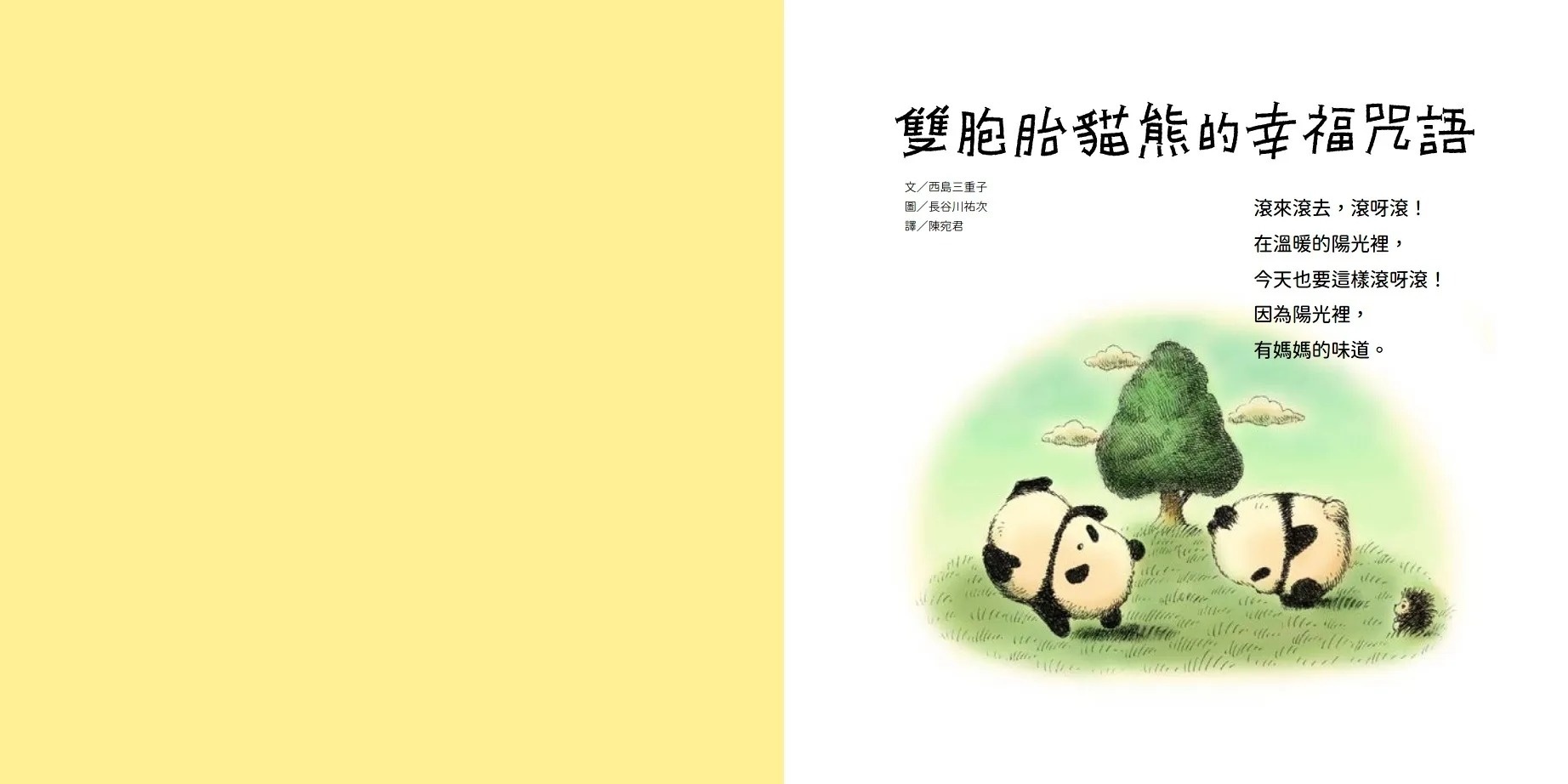 雙胞胎貓熊的幸福咒語