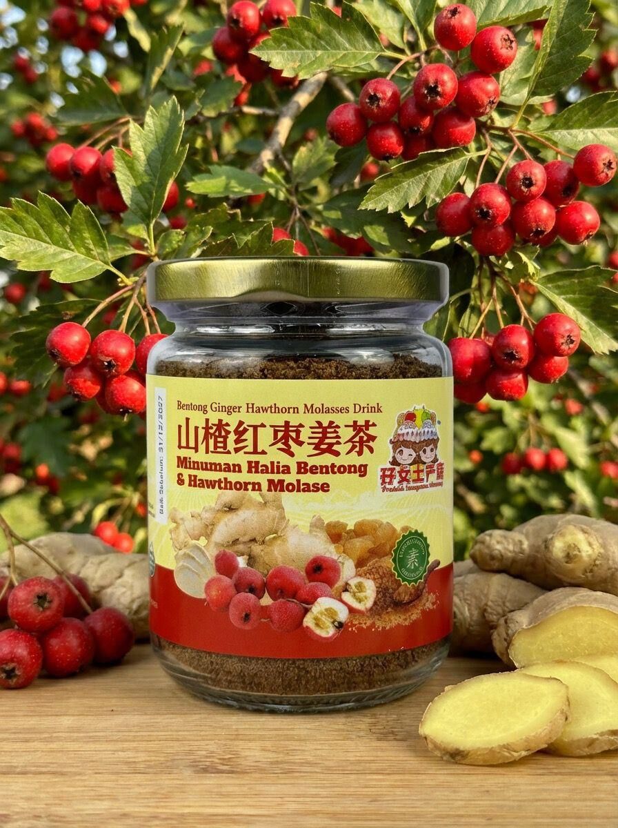 馬來西亞文冬薑 孖女山楂姜母茶150g