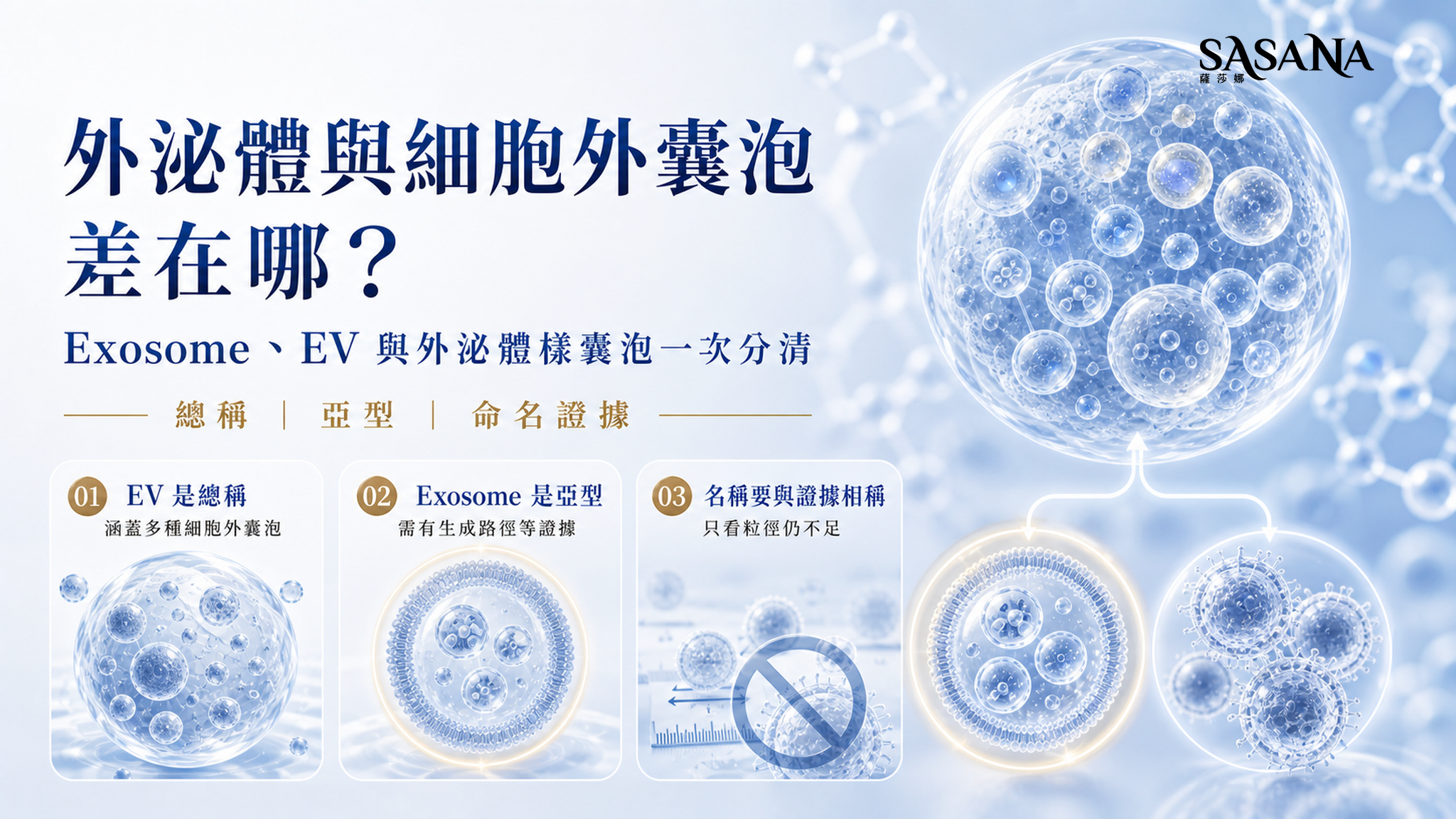 外泌體與細胞外囊泡差異示意,說明 EV 總稱、Exosome 亞型與命名證據。
