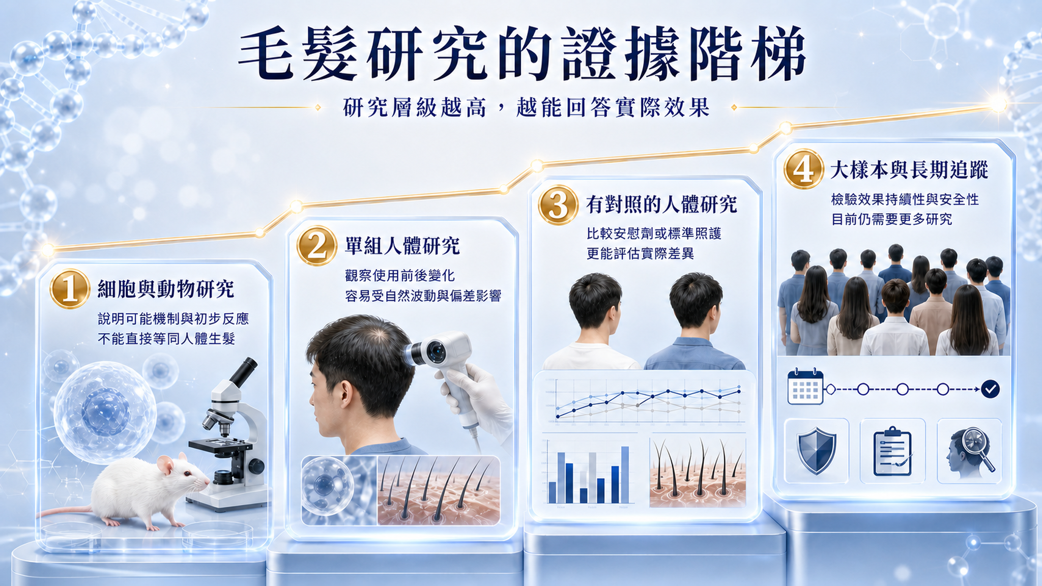 毛髮研究四層證據階梯，從細胞動物研究到大樣本長期追蹤。