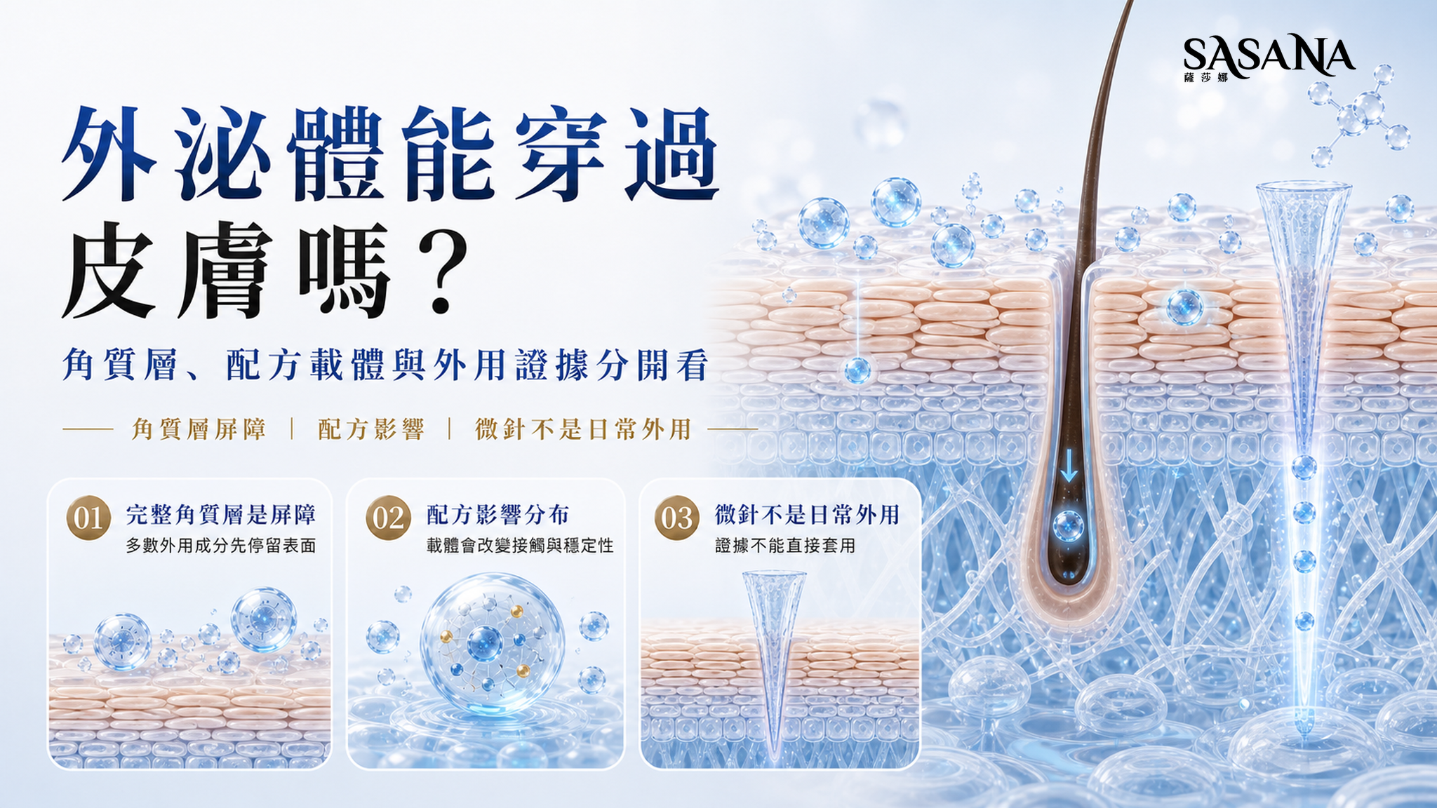 外泌體穿透皮膚示意,分開呈現角質層屏障、配方載體與微針路徑。