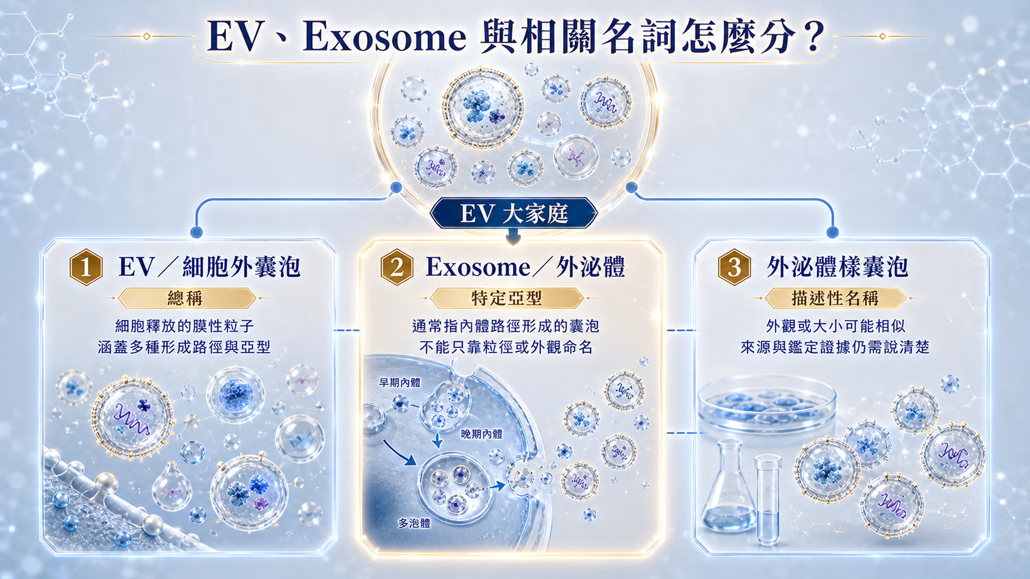 EV、Exosome 與外泌體樣囊泡分類圖,說明總稱、特定亞型與描述性名稱。