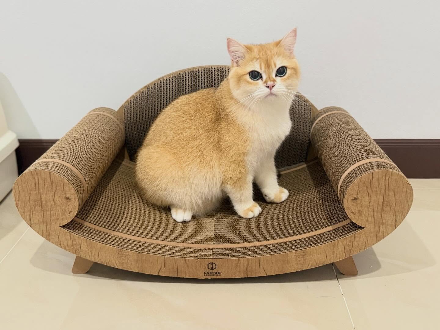 泰國 Carton Connection 貴妃椅貓抓板 (Purrline)