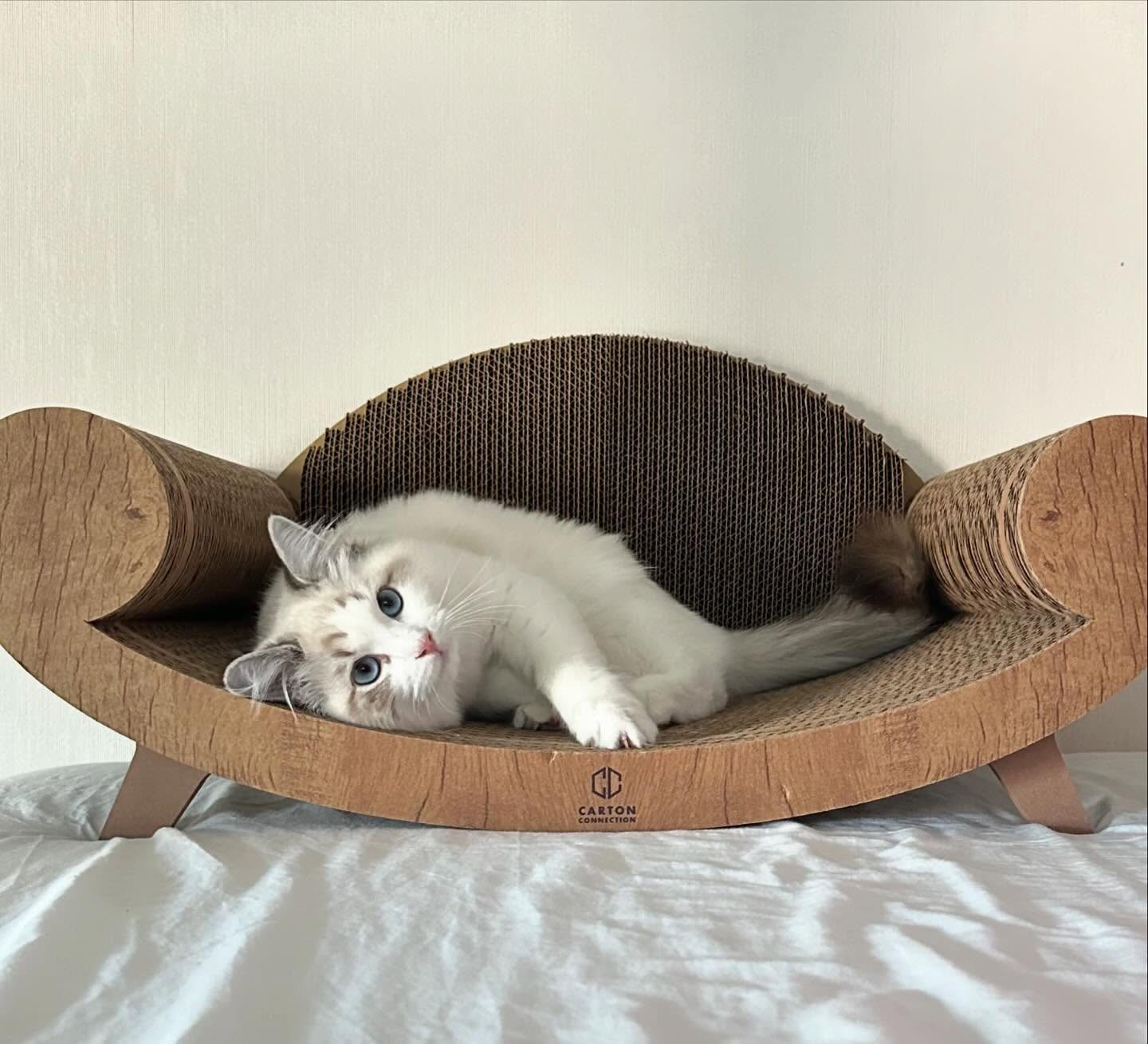 泰國 Carton Connection 貴妃椅貓抓板 (Purrline)
