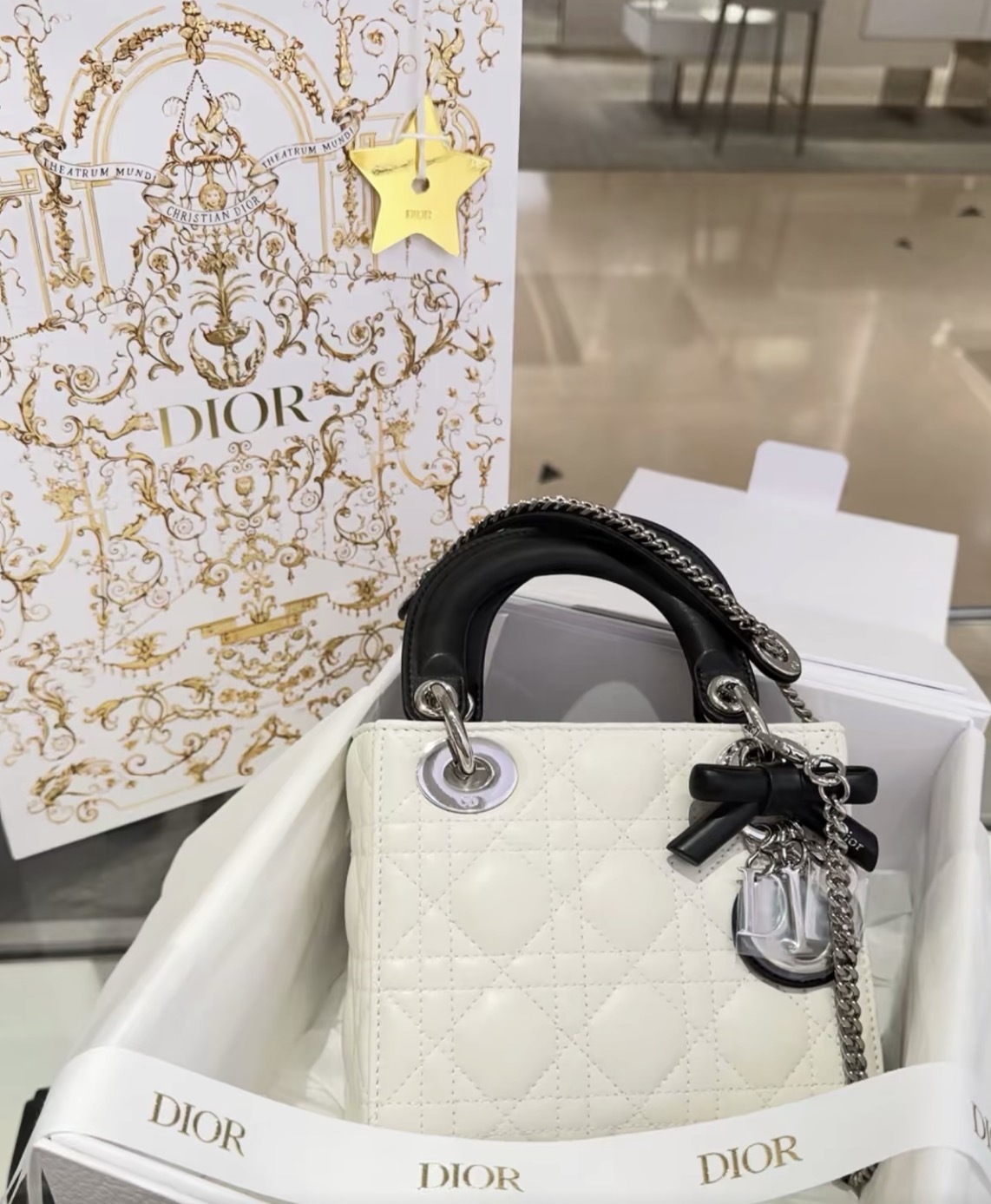【2色入】Dior Mini Lady Dior Cannage 藤格紋圖案羊皮 手袋 銀扣