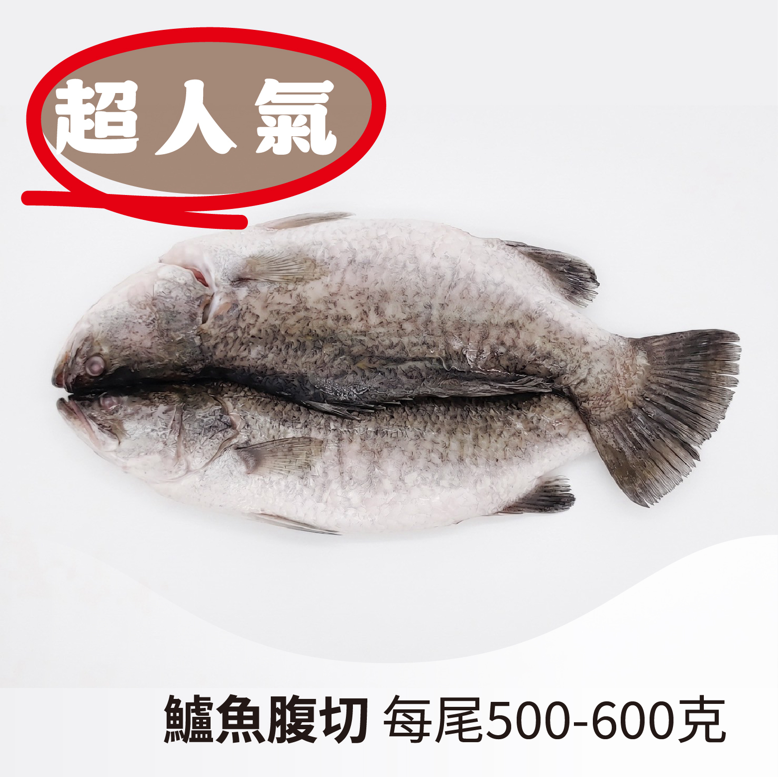 【新鮮美味】鱸魚腹切｜雲林口湖半鹹水養殖，肉質紮實且富含蛋白質與膠原蛋白《每尾500-600克》
