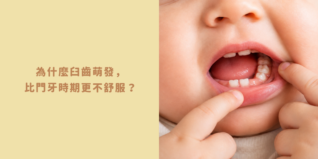 「寶寶咬著貝果練習咀嚼」「寶寶長牙期煩躁咬東西」「森森星球寶寶貝果特寫」