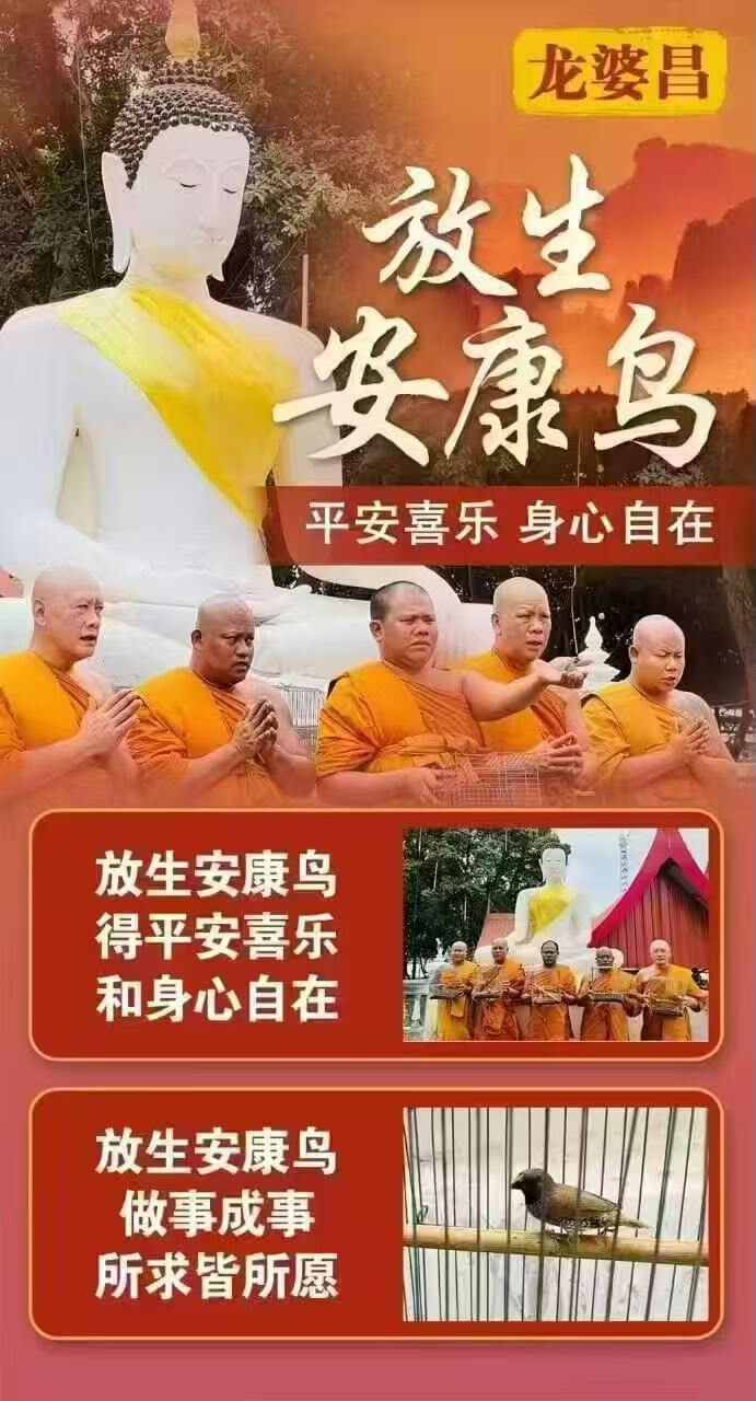 龍婆昌廟佛日放生