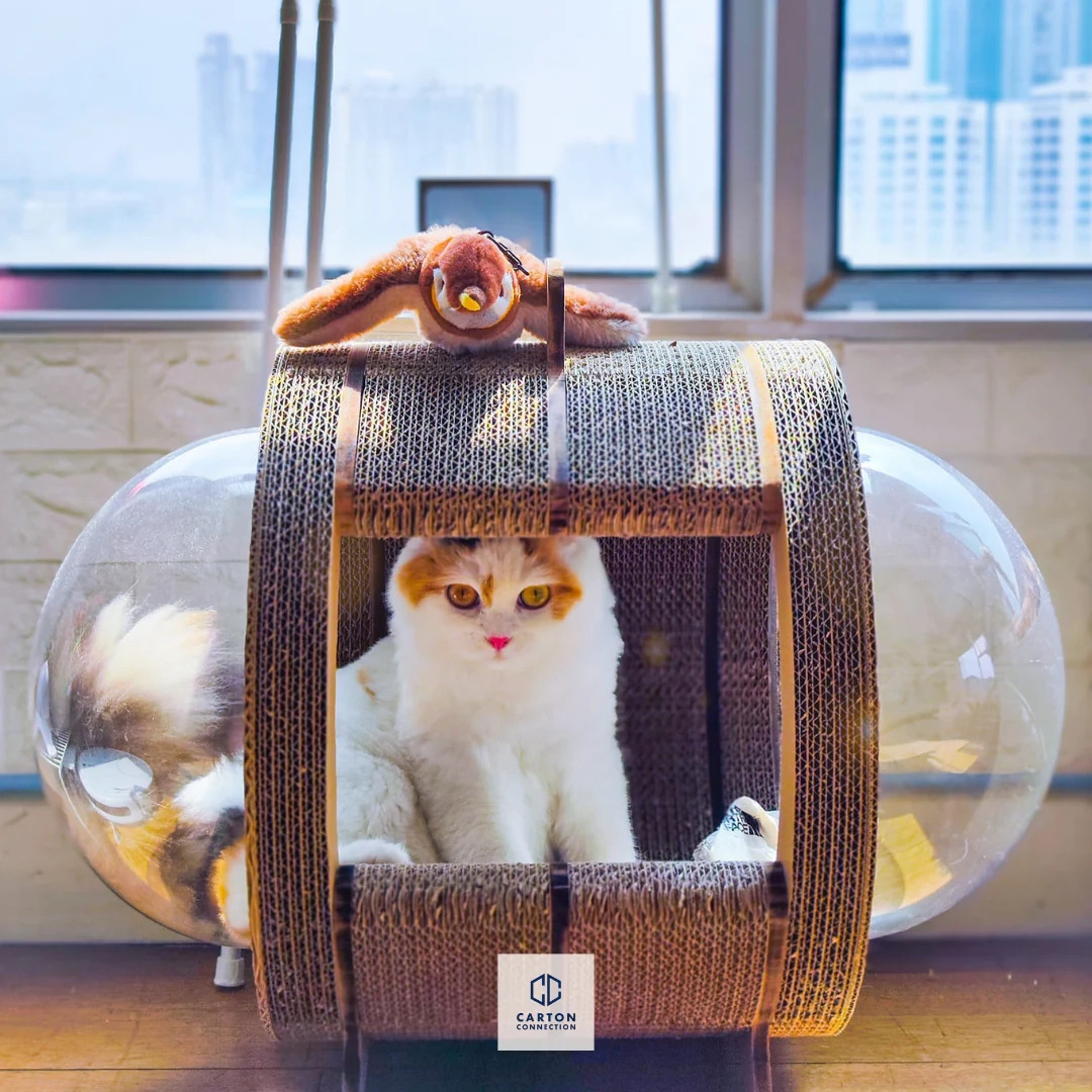 泰國 Carton Connection 太空艙貓抓板 (Catsule)
