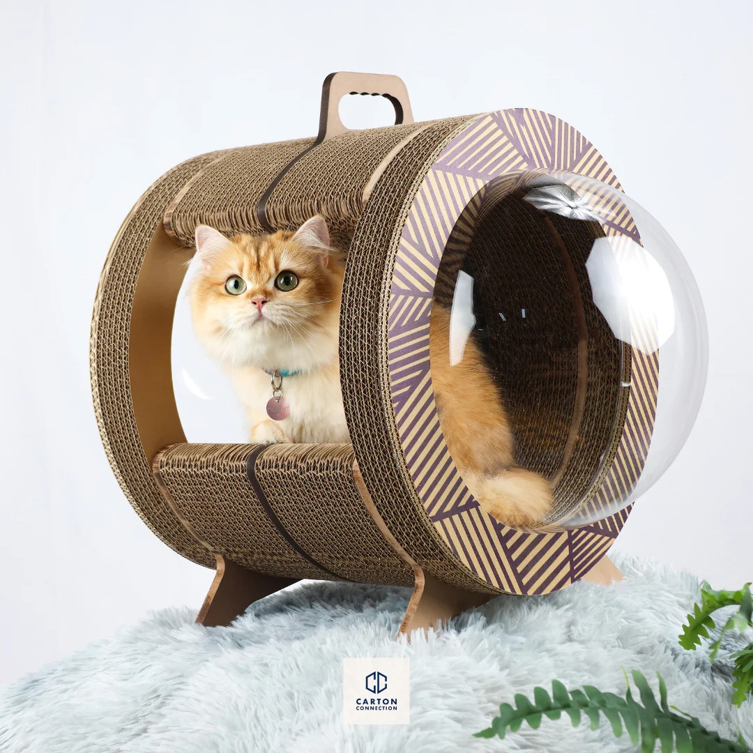 泰國 Carton Connection 太空艙貓抓板 (Catsule)