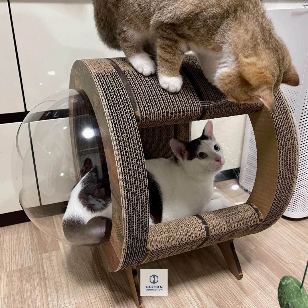 泰國 Carton Connection 太空艙貓抓板 (Catsule)