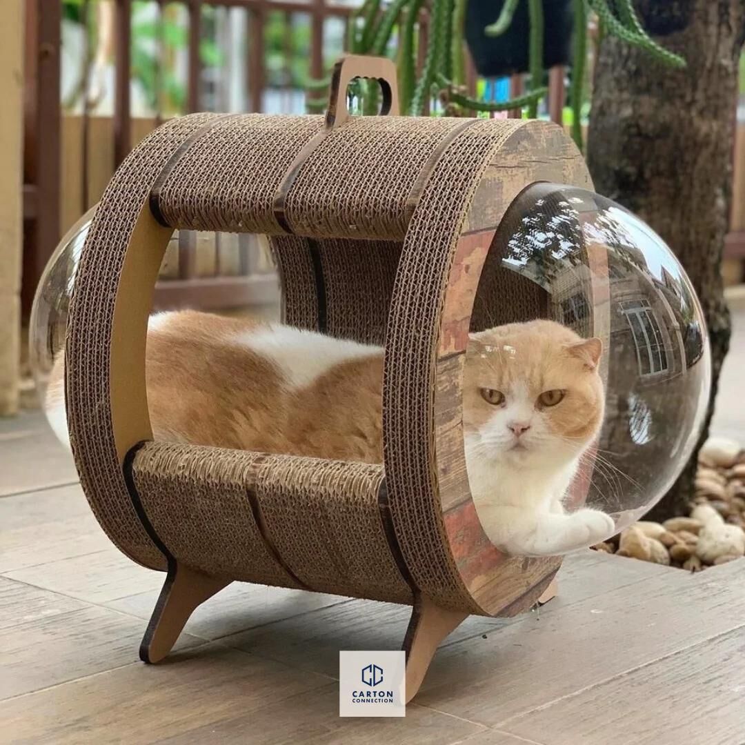 泰國 Carton Connection 太空艙貓抓板 (Catsule)