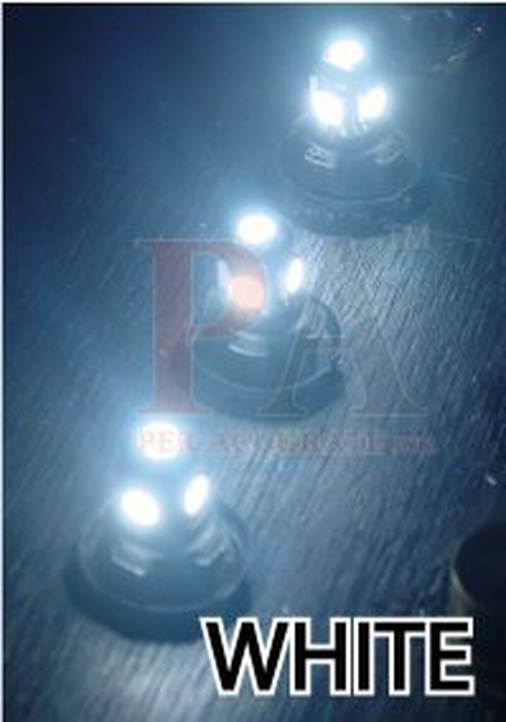 【PA LED】24V T10/T15 5晶 5050 SMD LED 超白光大車小燈