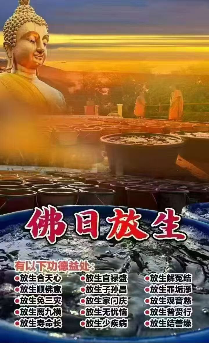 瓦‍⁡‍帕恩寺廟佛日放生魚功德