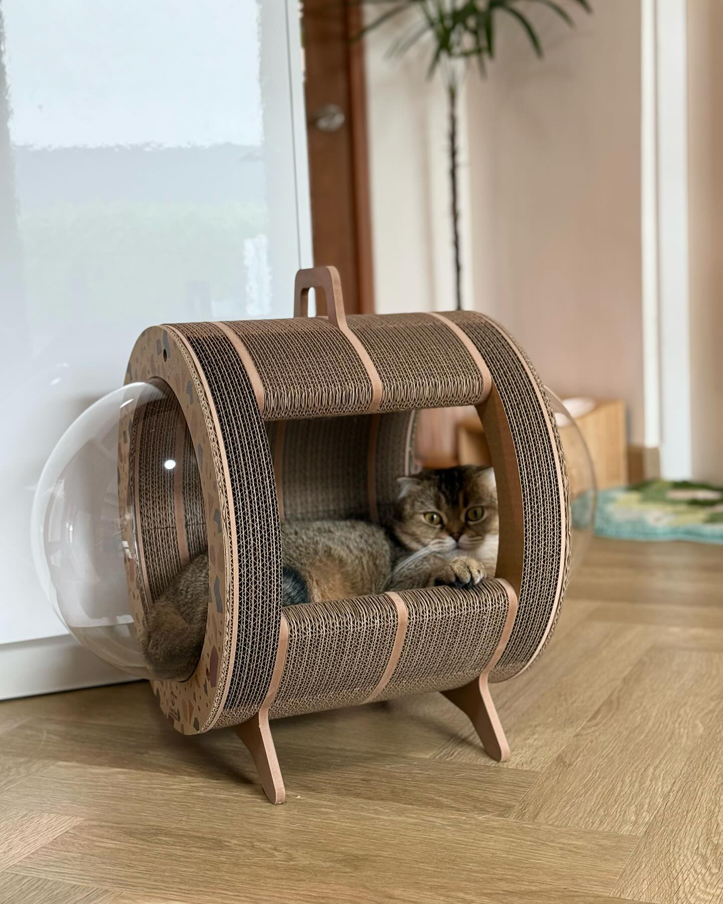 泰國 Carton Connection 太空艙貓抓板 (Catsule)