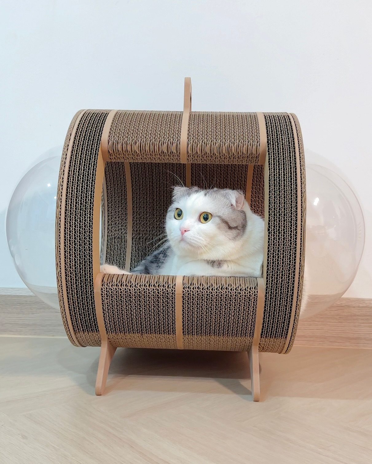 泰國 Carton Connection 太空艙貓抓板 (Catsule)