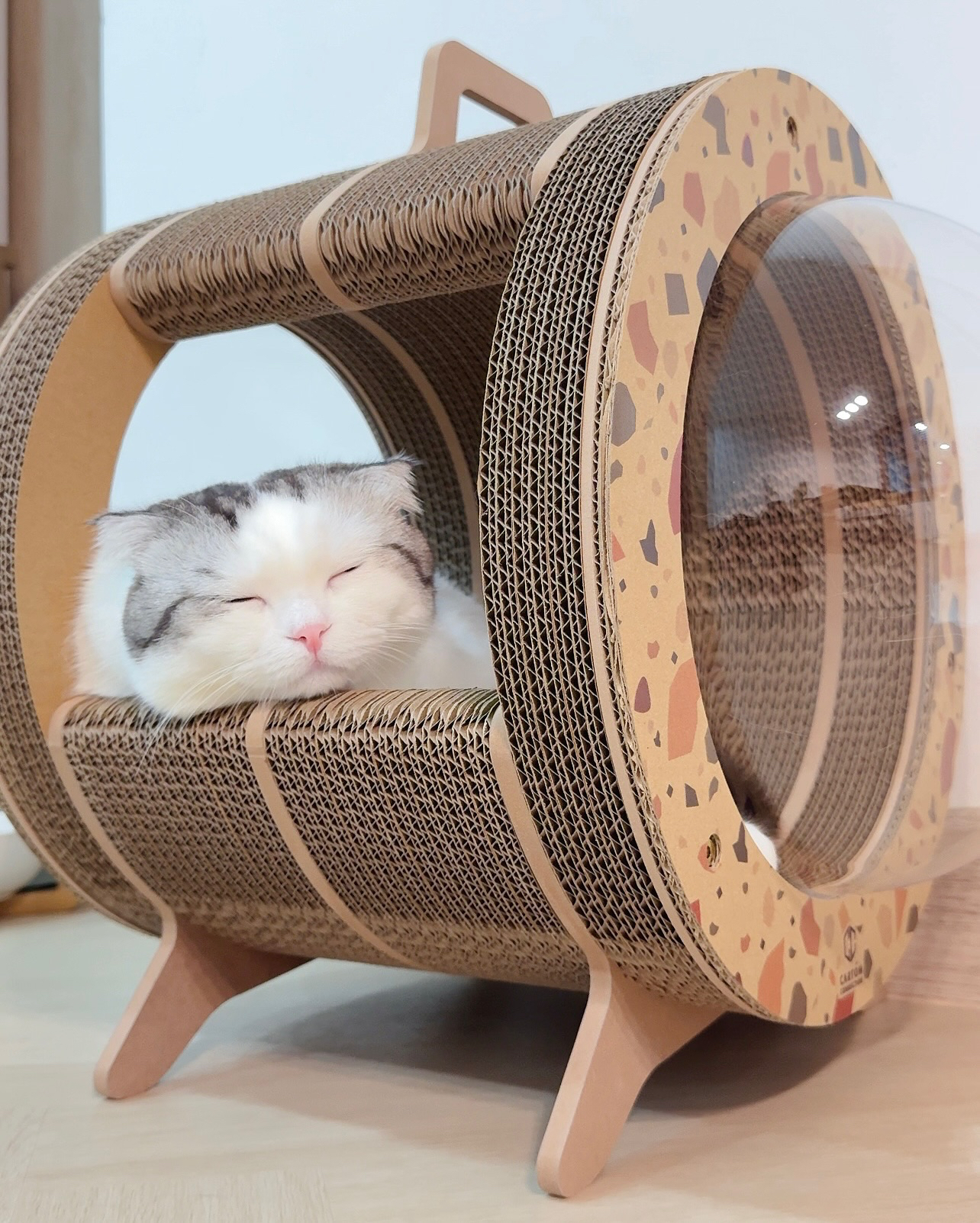 泰國 Carton Connection 太空艙貓抓板 (Catsule)