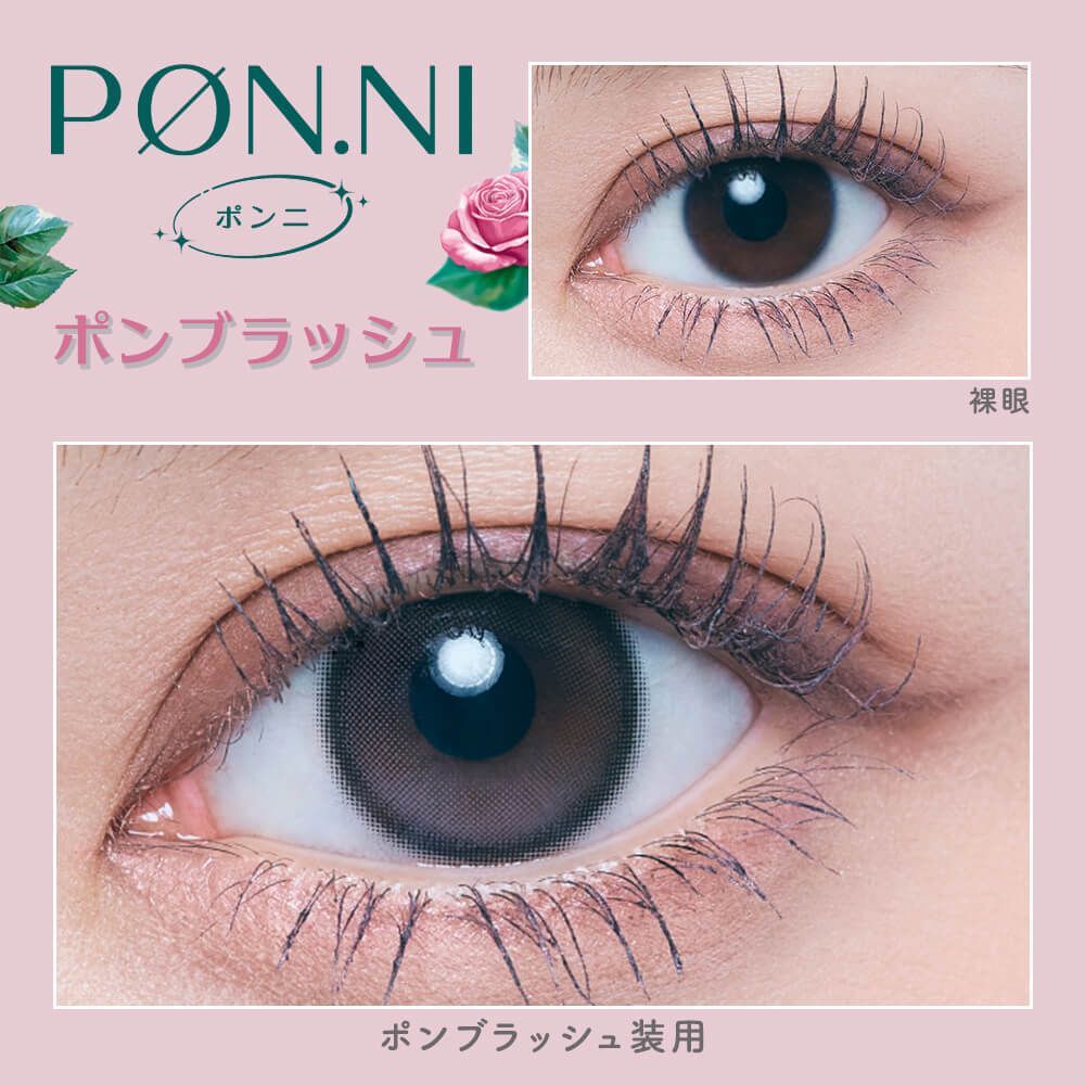 refrear PON.NI 1 Day (Pon Blush)(10P)