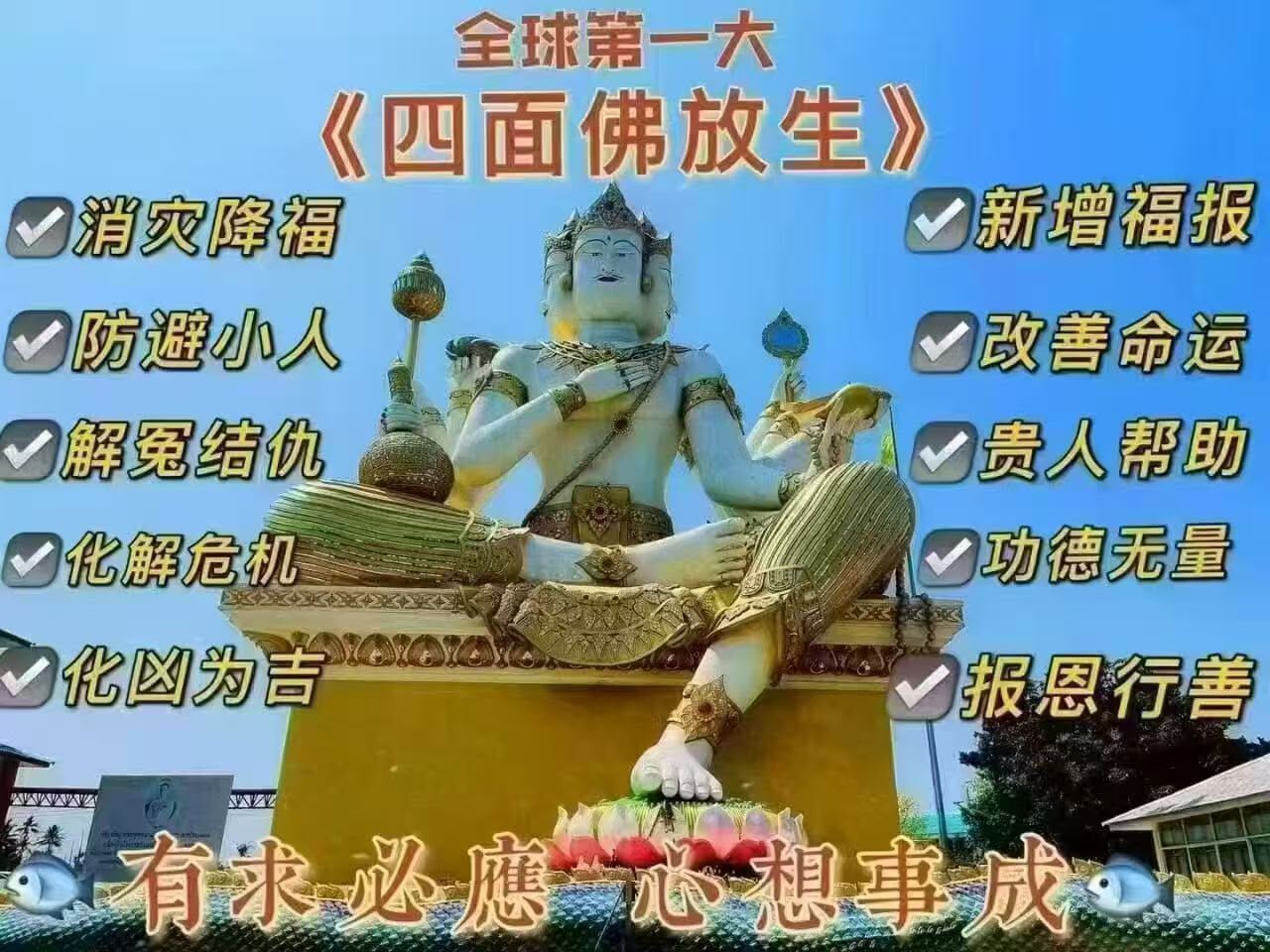 四面佛佛日放生魚