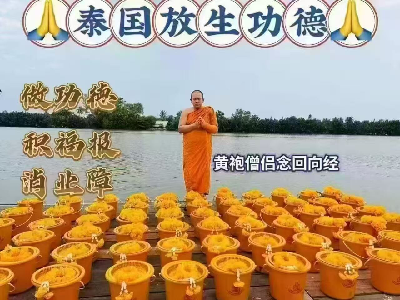 四面佛佛日放生魚