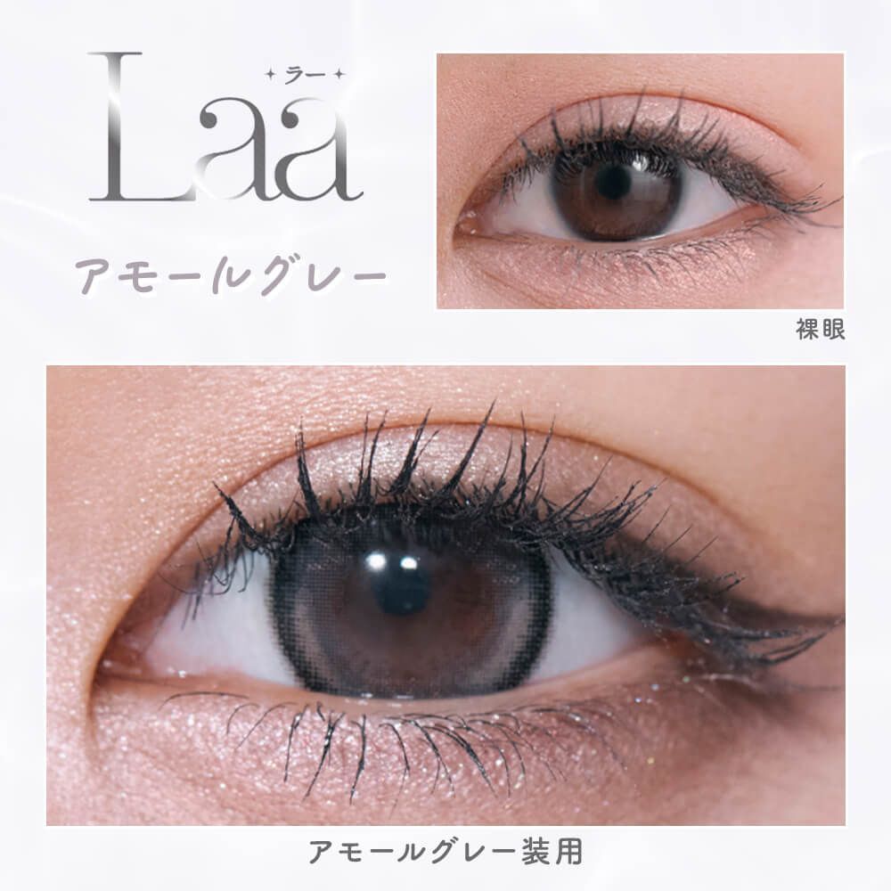 Refrear Laa Silicone Hydrogel 1 Day (Amor Gray)(10P)