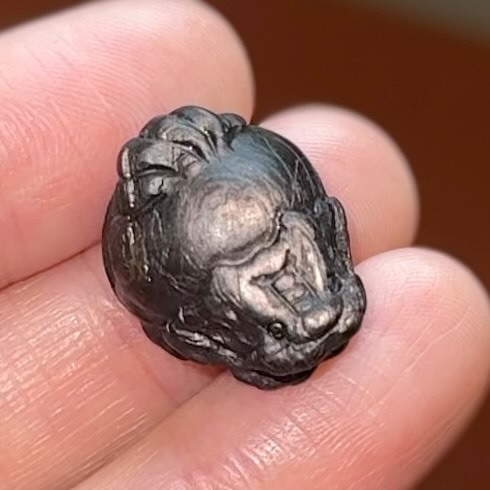[原石] 金運石 小龍龜 約 18x15x10mm