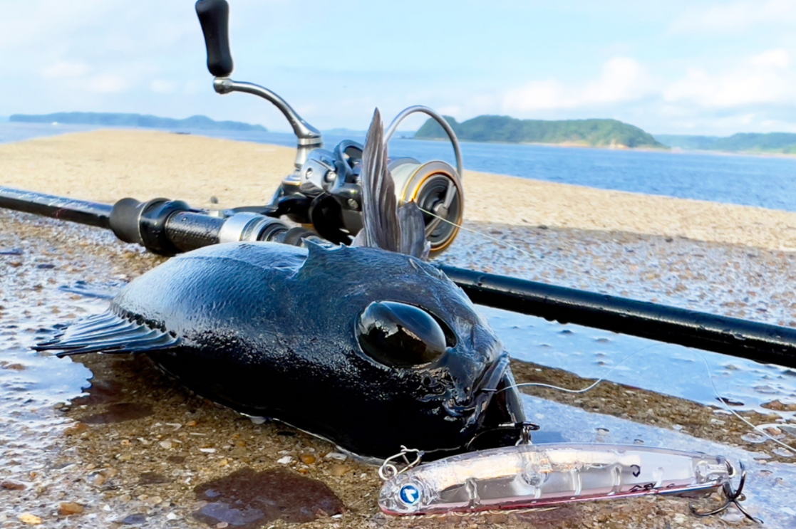 BlueBlue ARVIN 60S 沉水鉛筆