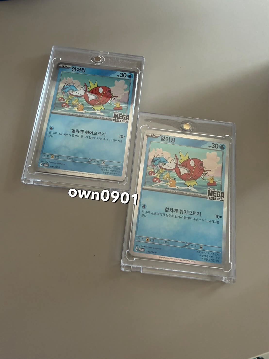 【OWN】Pokémon 寶可夢 韓國限定 MEGA 限定 卡片 鯉魚王 限量 韓文