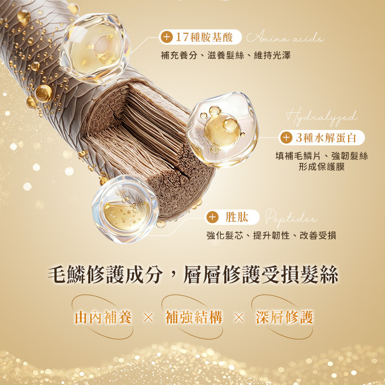 韓國 Elastine伊絲婷 胺基酸修護系列 超導滲透洗髮精 950ml【AG047】