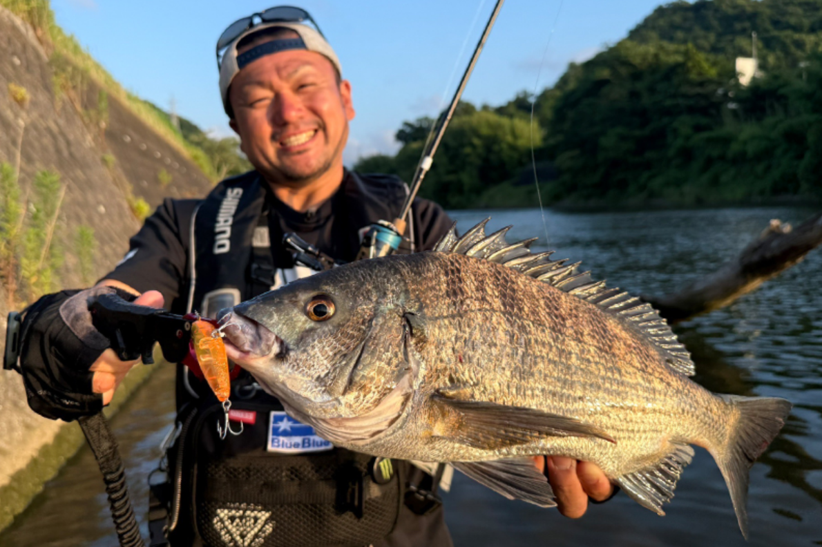 BlueBlue CHUPAZO 60 浮水鉛筆
