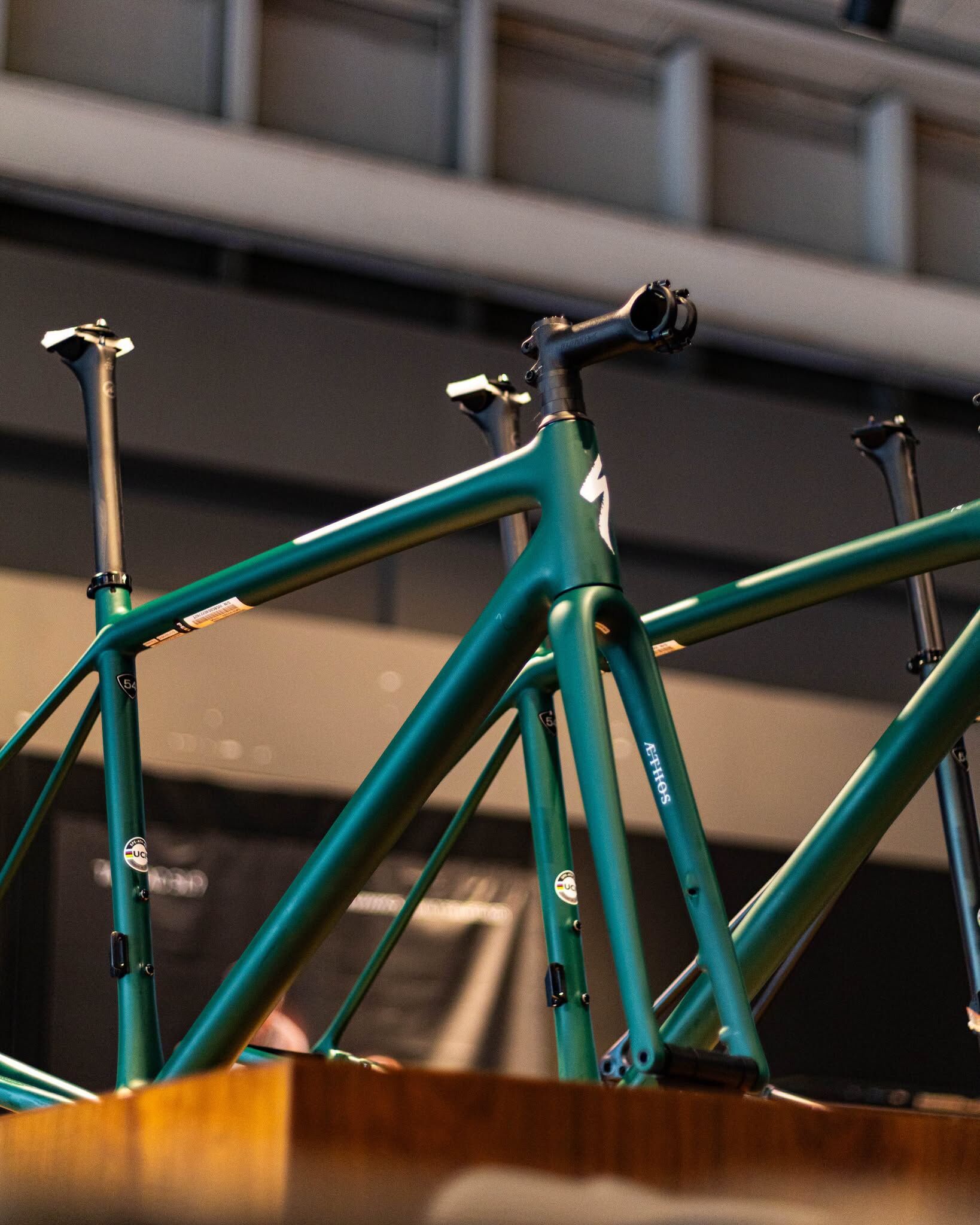 【SPECIALIZED】公路車架 AETHOS EXPERT 郵差綠 54