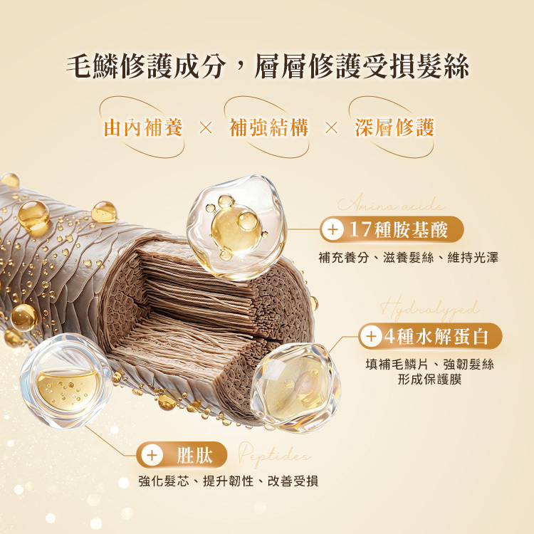 韓國 Elastine伊絲婷 胺基酸修護系列 超導滲透護髮素 300ml【AH072】