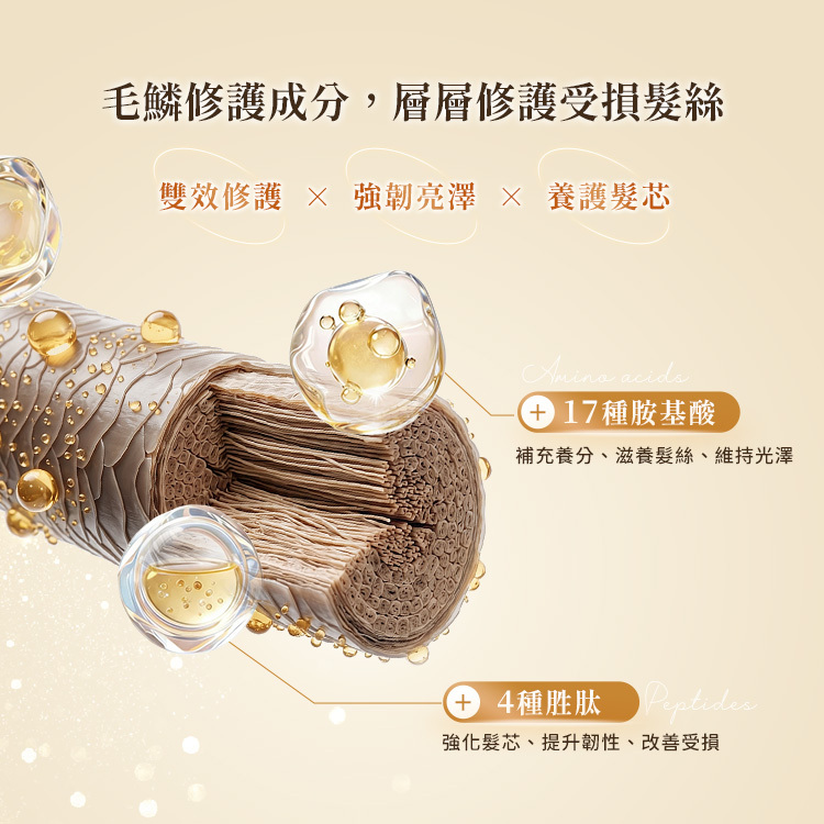 韓國 Elastine伊絲婷 胺基酸修護系列 超導滲透精華髮油 150ml【AH073】