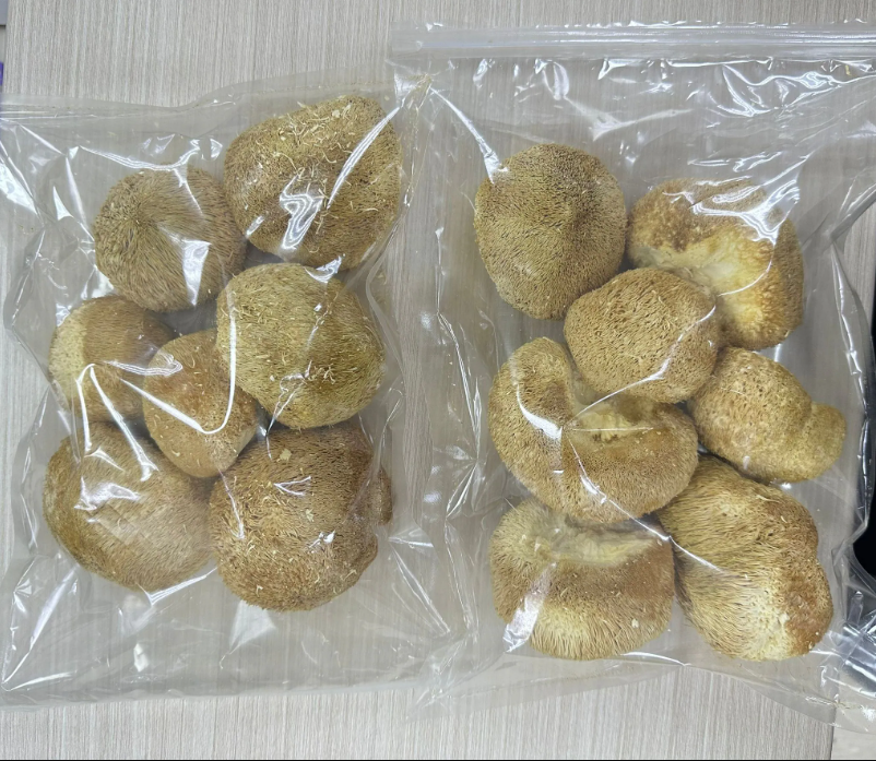 VN01 猴頭菇120克 (買一包送一包 共2包) **到期日:約2028/12 **需冷藏於0-5℃度範圍內保存