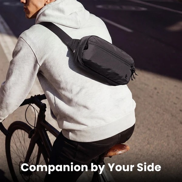 Companion by Your Side