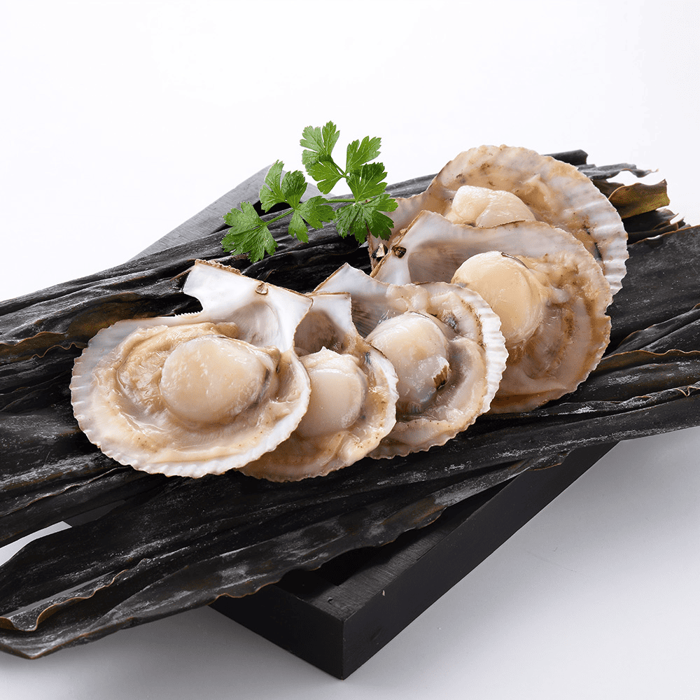 ❄️【元家】鮮甜半殼扇貝300g/包