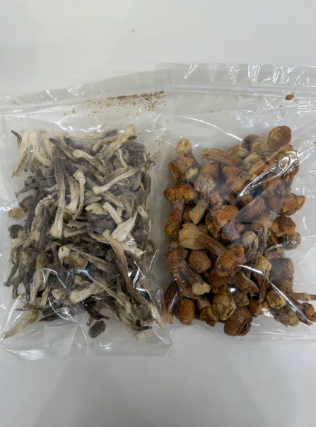 VN35 買一送一套裝: 姬松茸 120克 送 鹿茸菇 100克 **到期日:約2028/12 **需冷藏於0-5℃度範圍 內保存