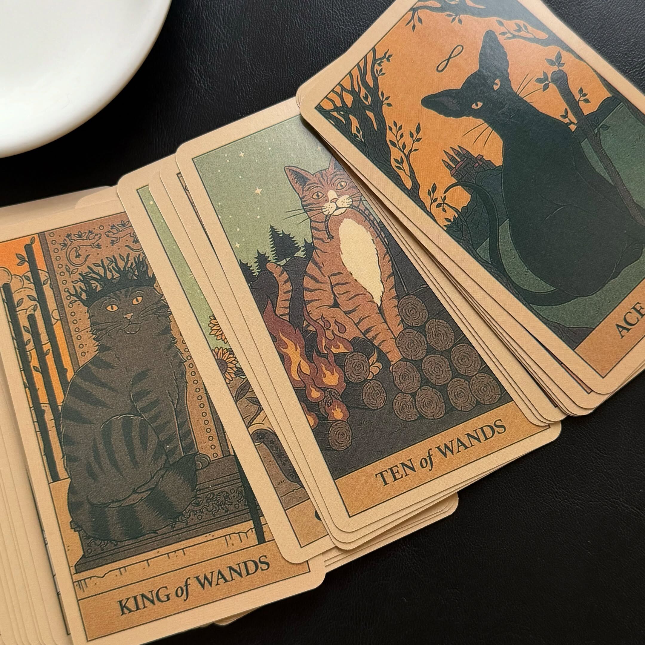 [原石] Cats Rule the Earth Tarot：貓咪統治地球塔羅牌